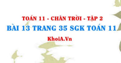 Bài 13 trang 35 Toán 11 Tập 2 Chân trời sáng tạo